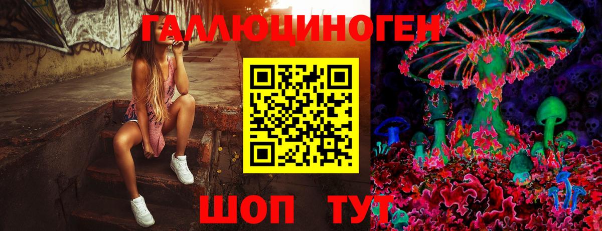 Партизанск  Псилоцибиновые грибы Psilocybine cubensis  купить наркотики сайты  Вход с VPN 