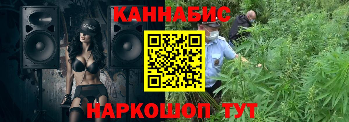 Конопля OG Kush Партизанск